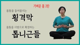 [ 가벼운 몸 2탄 ] 몸통 속 복압이 유지되는 횡격막 제대로 쓰는 법 / 톱니근들로 사방 확장하기