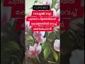 സമദാനി റസൂൽ സ്വ ചന്ദ്രനെ പിളർത്തിയത് കേരളത്തിൽ നിന്ന് കണ്ട മഹാൻ