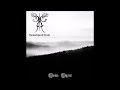 ancient boreal forest grim ages 2016 atmospheric dungeon synth