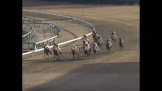 メジロライアン 1990年 第27回報知杯弥生賞(GII)  (優勝馬：メジロライアン)