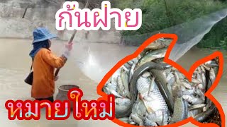 🇹🇭หากินแบบไทยบ้าน ยกยอหมายใหม่ หมานคือเก่าจ้า หาอยู่หากินแบบบ้านๆ ตามวิถีชีวิตคนอีสานจ้า