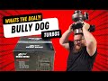 Taking A Look At The Bully Dog Big Rig Stage 1 Caterpillar Turbo