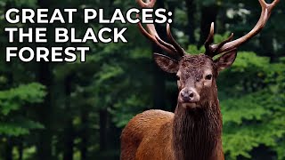 Great Places of the World | Episode 1: The Black Forest of Germany | Free Documentary Nature