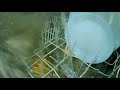 dishwasher inside in 4k how it works inside quick rinsing