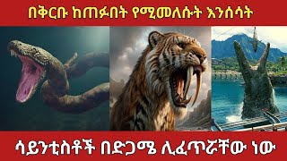 በምርምር ከጠፉበት በቅርቡ የሚመለሱት አስፈሪ እንስሳት || amazing animals #ethiopia