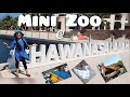 Mini Zoo at Al Fanar Beach Resort, Hawana Salalah || Exploring amazing ambience of Al Fanar resort