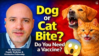 ⭐Do You Need a Rabies Shot After a Dog Bite? (Doctor Explains)
