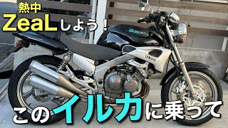 【ZeaL】という250cc4気筒の不人気ネイキッドを紹介します＆売ります