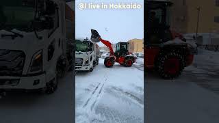 【除雪車】北海道の冬のお仕事【排雪作業】#shorts #zw80