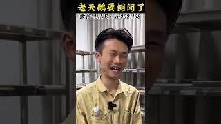 （3）为了这条黄翡手镯，我把我的梦想卖了三两三#翡翠原石 #翡翠 #翡翠玉 #翡翠手鐲 #天然翡翠 #珠宝