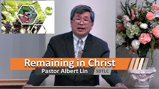 Remaining in Christ | Pastor Albert Lin | English Service 2022-7-10