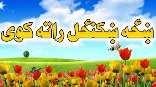 ښځه ښکنځل راته کوي خاوند ته سه کول پکار دي | مولوی دیوبندی صاحب