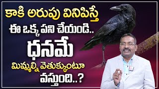 BVSS Reddy : కాకి అరుపు వినిపిస్తే ఇలా చేయండి? | Unknown Facts About Crow | M Qube