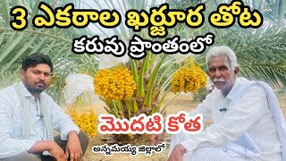 3  ఎకరాల్లో ఖర్జూరపు సాగు. ఓపిక &ఖర్చుతో కూడిన పంట dates farming.# ఖర్జూర పంట#dates cultivation