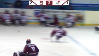 HC Sparta Praha sledge hokej vs SHK Mustangové Pardubice - 3.1.2015