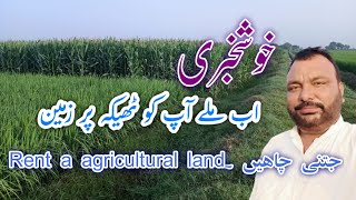 Rent a agricultural land زرعی زمین ٹھیکہ پر حاصل کریں