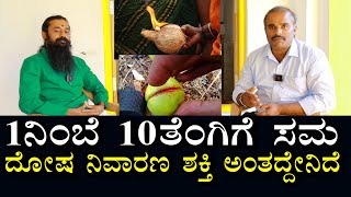 ಒಂದು ನಿಂಬೆ 10 ತೆಂಗಿಗೇ ಸಮಾ | ದೋಷಗಳನ್ನು ಯಾಕೆ ಇದರಿಂದಲೇ ನಿವಾರಿಸುತ್ತಾರೆ? | coco \u0026 lemon power