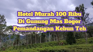 Hotel Low Budget Puncak Bogor Terbaru 2025 Urbanview Hotel Stars Residence - Capital O Villa Bunga