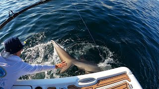 @SlickStevie  vs HUGE Shark!