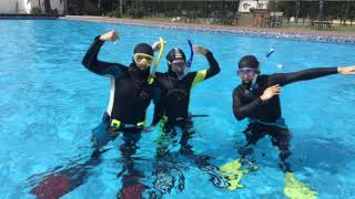 游龍潛水Yulong Dive Center●PADI OPEN WATER DIVER開放水域潛水員/108-01-26~28教學精彩片段