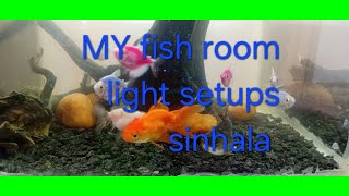 my fish room light setup sinhala#මගේ fish room එකේ light setup උනේ මෙහෙමයි#