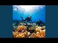 Dive Guide