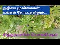 சித்தர்களின் மூலிகை பொக்கிஷம்.....