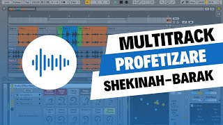 Multitrack-Profetizare-Shekinah-BARAK (Live).