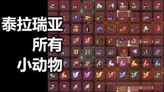 【Terraria1.4】【大師】小動物全收集【78】