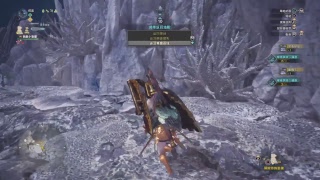 MHW 金色的銃槍.王 VS 歷戰王麒麟