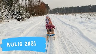 KULIG i Spacer z POCHODNIAMI- Zimowe szaleństwa z dziećmi  :)