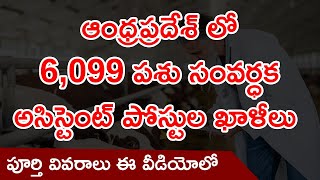 ఆంధ్రప్రదేశ్ లో 6,099 పశు సంవర్ధక అసిస్టెంట్‌ పోస్టుల ఖాళీలు | Upcoming Animal Husbandry Jobs in AP