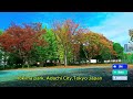 Strolling Through Hokima Park: 1118 -2