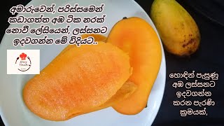 හොඳින් පැසුණු අඹ, නරක් නොවී මේ විදියට ඉදවගමු..