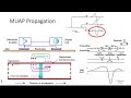 kine 4476u week 4a review emg neurophys summary video winter 2025