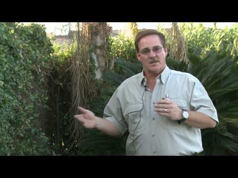 Home & Lawn Pest Control : How to Keep Dogs Out of Your Yard Home & Lawn Pest Control : How to Keep Dogs Out of Your Yard