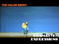 dramatyk expression- the color ebony-journal entries