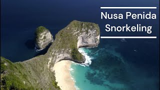 Snorkeling in Nusa Penida Bali - Manta Bay, Gamat Bay, Toyapakeh Wall Point, Crystal Bay