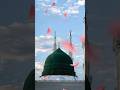 Noor Wala Aya Ha - Farhan Ali #islam #islamicshort #naat #viral #shortsviral #shorts