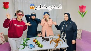 تحدي بين روشين و روناهي و فريده ☺️ اعرف الأشياء من لمسها 🫶🫰❤️