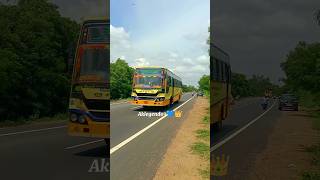 Tnstc-Kum 💛✨ KUM to CBE💛✨ #shorts #shortsfeed #aklegend03 #trending #tnstc #bs6 #love #90severgreen