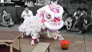 2013 Lion Dance Competition 蒲种莲花宫醒狮团 2013年傳統舞獅比賽