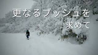 夏油高原2022年12月11日(ブッシュは友達)