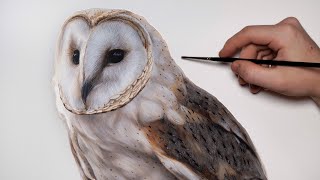 OIL PAINTING Time-Lapse - Barn Owl | Wildlife Portrait