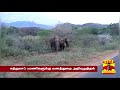 யானையை ரசிக்க அருகில் சென்றவருக்கு நேர்ந்த கதி elephant