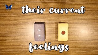 ❤️‍🔥❤️‍🩹 WHAT ARE THEIR CURRENT FEELINGS ABOUT YOU? 😍🥰 Timeless Tarot Reading 🔮💫