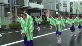 上町よさこい鳴子連 沼津よさこい東海道2012 本祭 本町審査会場 mususukunjp