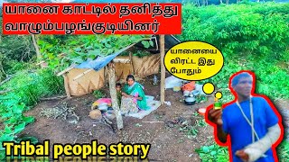 அடர்ந்த காட்டில் தனியாக இருக்கும் ஒரு குடும்பம் /tribal people life story #triballifestyle