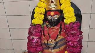 जागृत देवस्थान | Akkalkot Darshan | Akkalkot Yatra #shreeswamisamarth