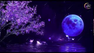 FALL INTO SLEEP INSTANTLY ★︎ Relaxing Music to Reduce Anxiety ★︎ Meditation ★︎ Relax Rhythms